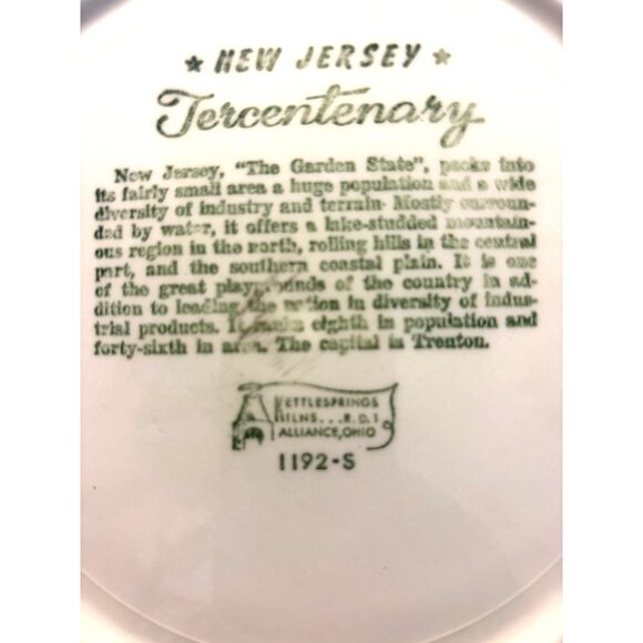New Jersey Tercentenary 1964 Commemorative Plate Ceramic 10” Vtg 1192-S Collect. - Picture 5 of 6